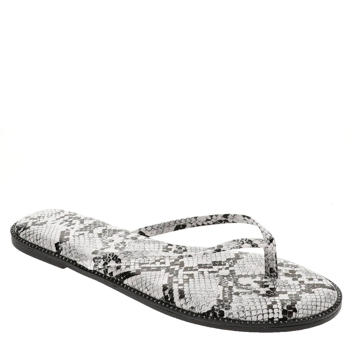 Mia Aster - Snake image 0