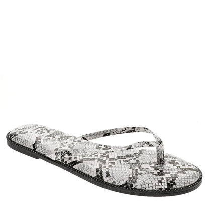 Mia Aster - Snake image 0