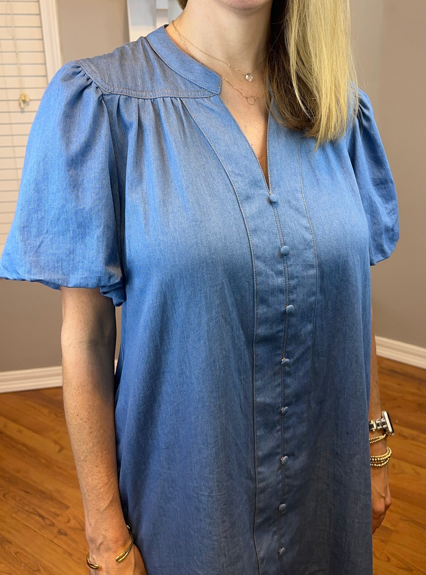 Umgee Chambray Puff Sleeve Dress