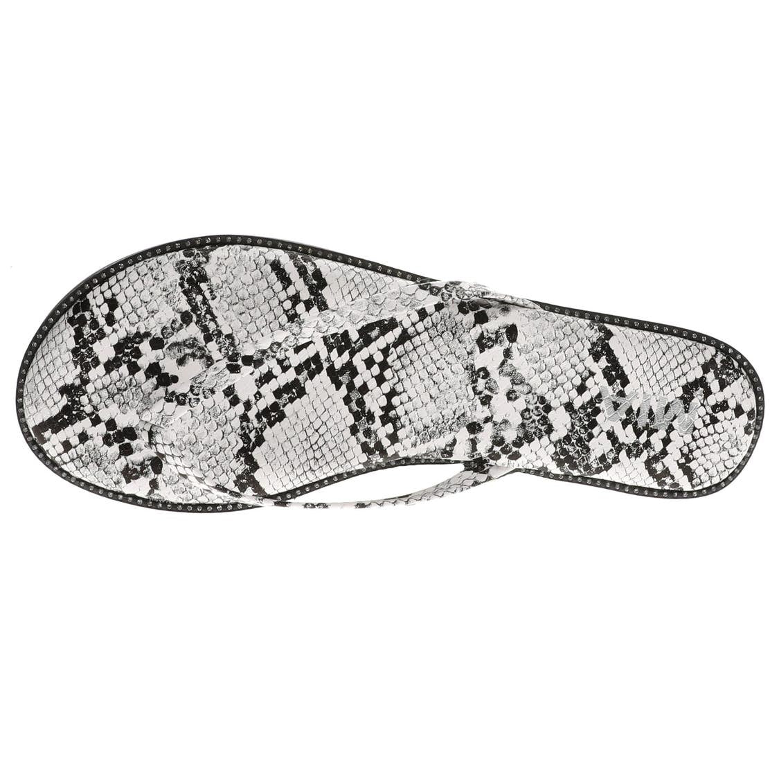 Mia Aster - Snake image 1