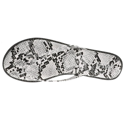 Mia Aster - Snake image 1